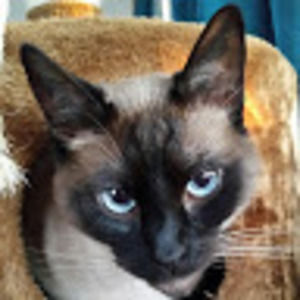 Meet your Posher, Aileen